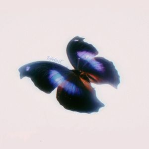 溺爱