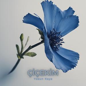 çiçekim