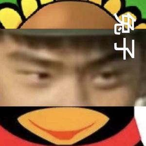 兔车