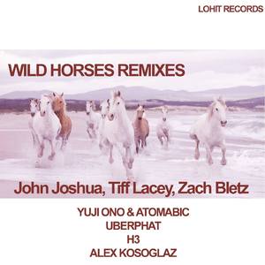Wild Horses (Uberphat's Chilled Out Adventure Mix)