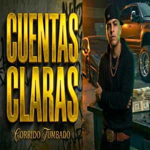 Cuentas Claras