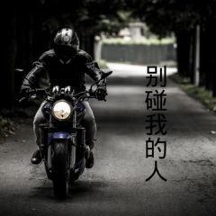 离开你我哭了 (DJ版)