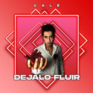 Dejalo Fluir