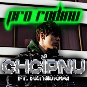 Pro rodinu chcípnu (feat. PatricioVG)