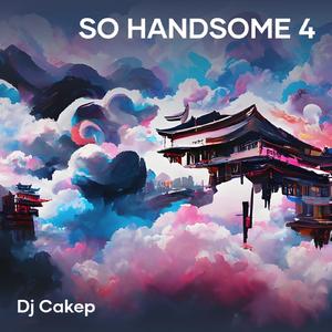 So Handsome 4