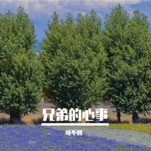 岁月的光辉