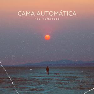 Cama Automática