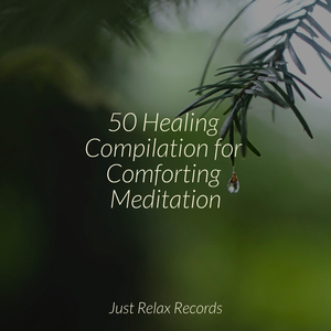 Solemn Echoes of Solitude