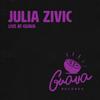 Julia Zivic - We've Come so Far (Live at Guava)