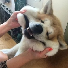 喝不够的酒 (DJ弹鼓版)