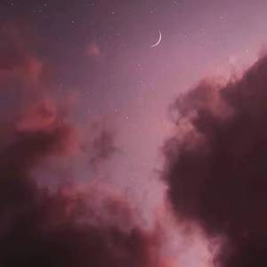 有可能的夜晚（片段）