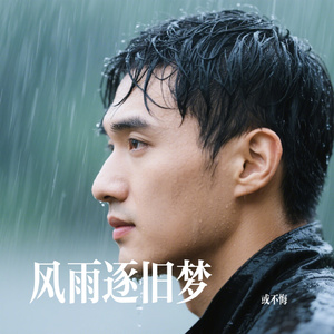 风雨逐旧梦