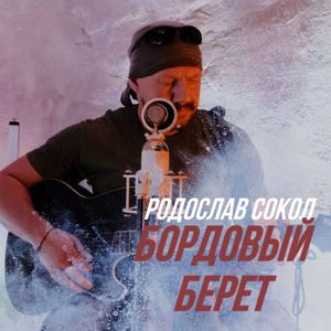 Бордовый берет