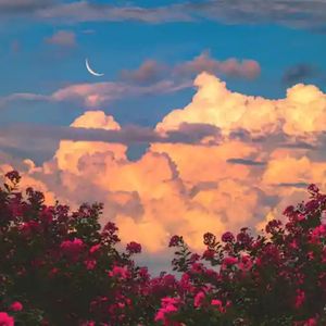 一枕槐安（古筝）