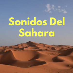 Sonidos Del Sahara