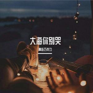 大海你别哭