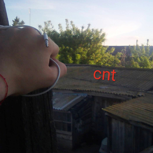 Cnt
