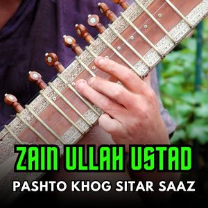 Pezwana Sitar Saaz