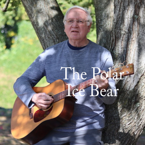 The Polar Ice Bear