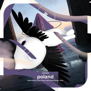 poland (i took the wock to poland) - instrumental