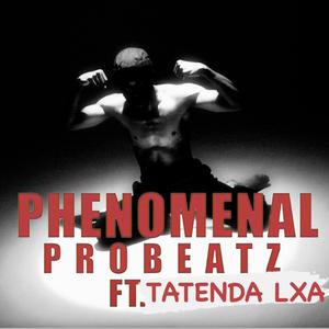 Phenomenal (feat. Tatenda LXA)