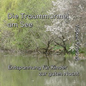 Der Wiesenbach zum See