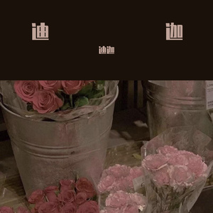 孤独背包客的自然之旅