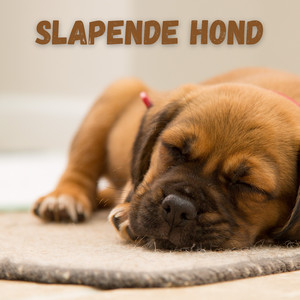 Slapende Hond
