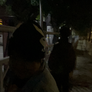 血茶花（Ft.Ricklowkey）