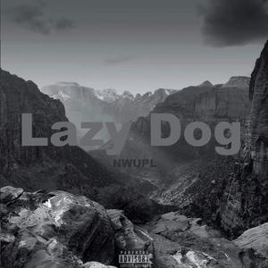 西北政法大学 2021 Cypher