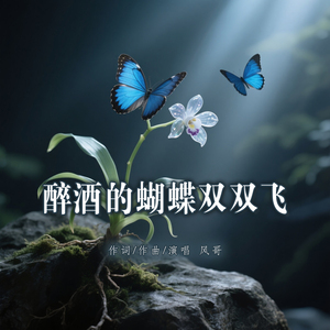 醉酒的蝴蝶双双飞