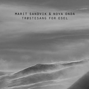 Trøstesang for Esel (Radio Edit)