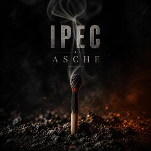 ASCHE