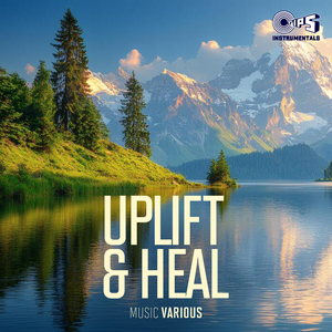 Surmedani (From "Bajre Da Sitta") [Lofi Instrumental]