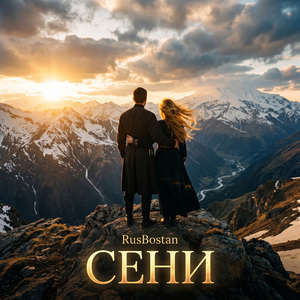 Сени