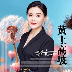 黄土高坡 (Dj阿能版)