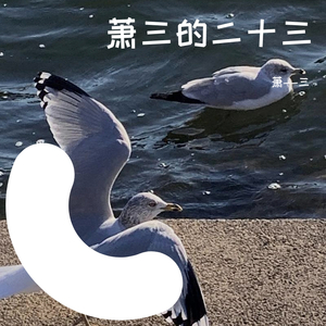 阿金-萧三的二十三