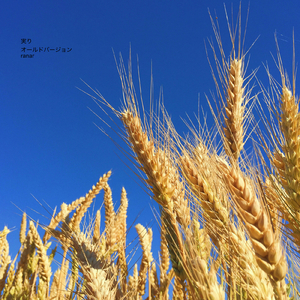 実り (オールドバージョン)