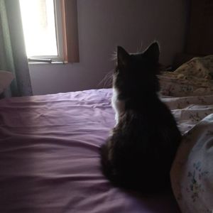 旧打字机的余温