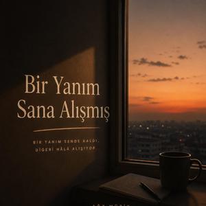 Bir Yanım Sana Alışmış