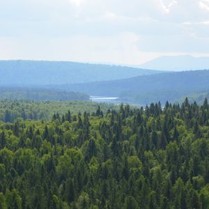 Искренность