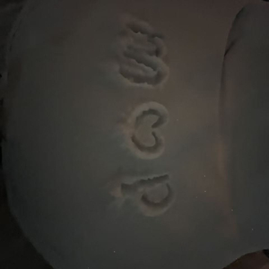 给特别的人拜年