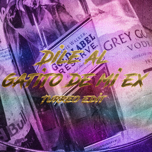 Gatito de Mi Ex (Turreo Edit)