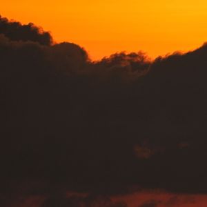 梧叶量尽离人愁