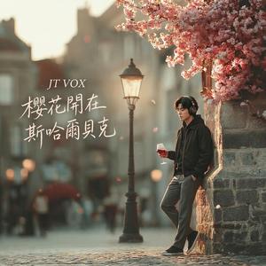 櫻花開在斯哈爾貝克