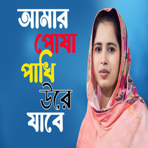 আমার পোষা পাখি উরে যাবে