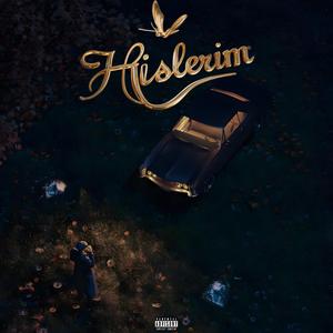 Hislerim