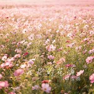 无尽的花海