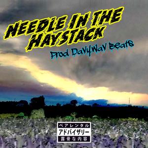 Needle in the Haystack