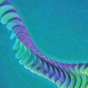 Finale: The Transcendence of Sonic the Hedgehog